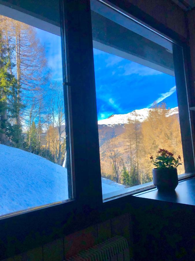 **New**Marilleva 1400**Trilocale Sulle Piste Apartment Exterior photo